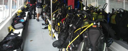 All ready for the dive!